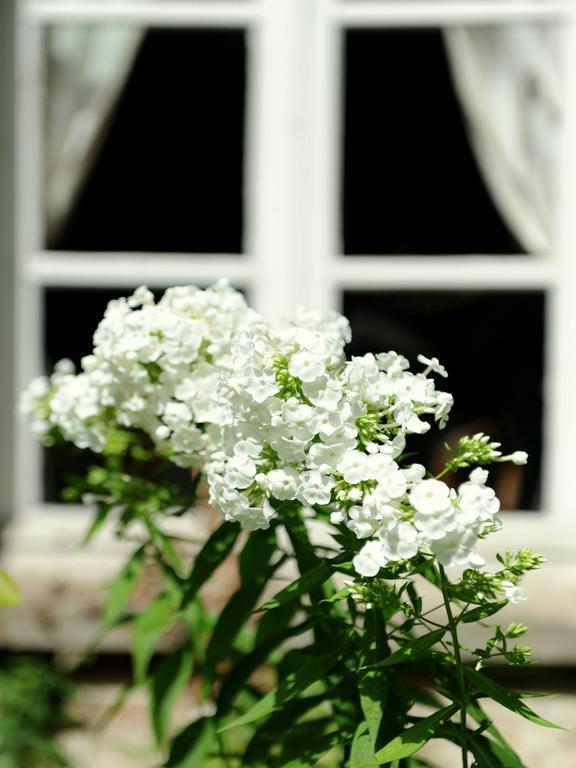 Le Jardin Cathedrale Bed & Breakfast Chartres Bagian luar foto