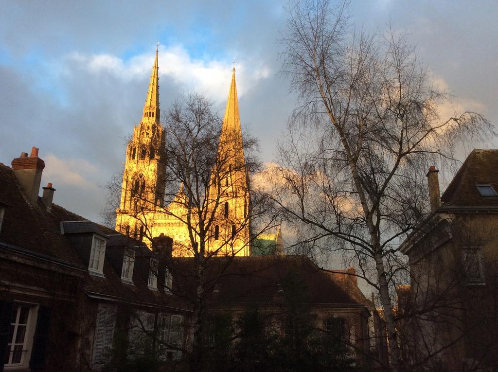 Le Jardin Cathedrale Bed & Breakfast Chartres Bagian luar foto